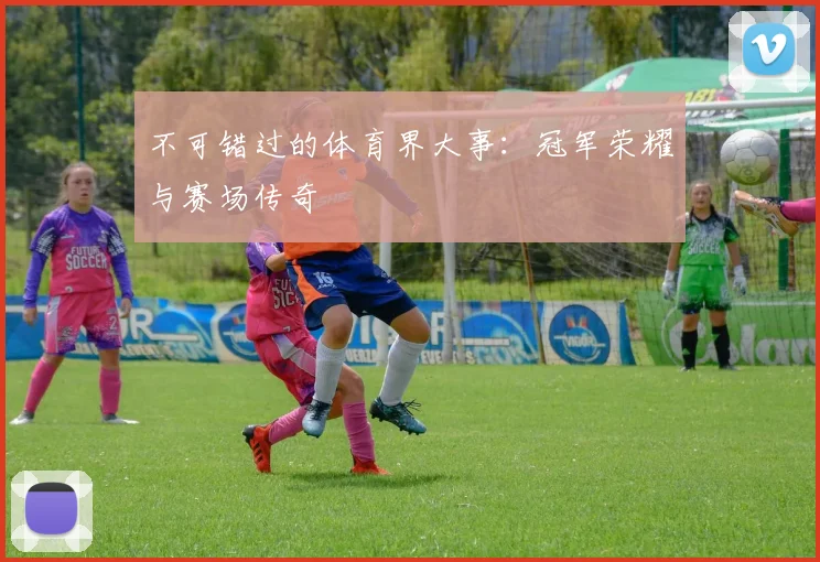 不可错过的体育界大事:冠军荣耀与赛场传奇